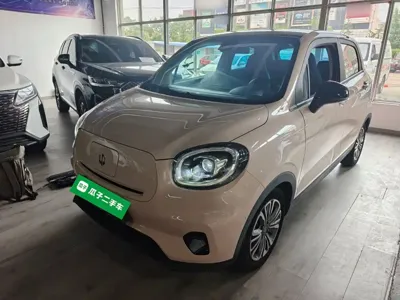 Leapmotor Leapmotor T03