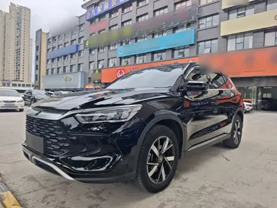 BYD Pro New Energy