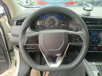 Venucia D60
