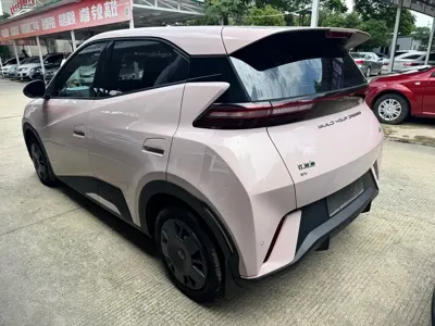 BYD Seagull