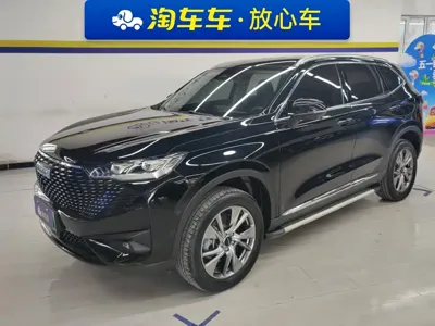 Haval H6 New Energy