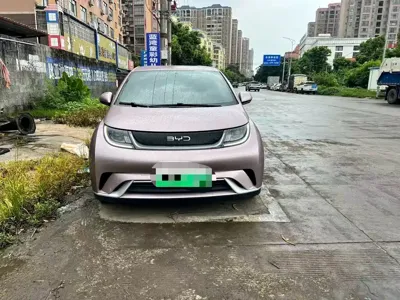 BYD Dolphin