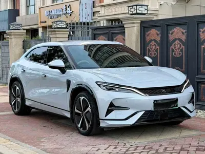 BYD L EV