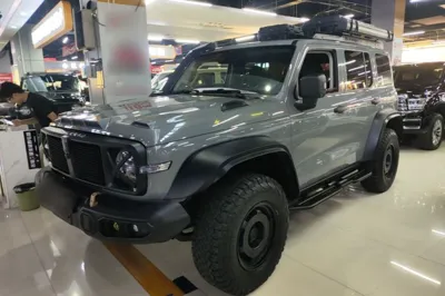 Tank 300