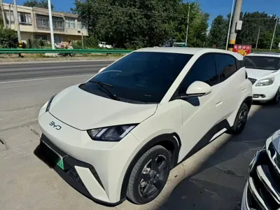 BYD Seagull