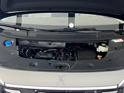 BYD Xia